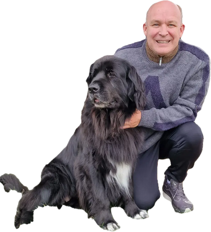 Canine Brucella ELISA Kit size: 96 Tests